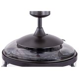  FANAWAY 212927 - LED plafonski ventilator CLASSIC 3xE27/4W/230V crni + daljinski upravljač | Eponuda.com
