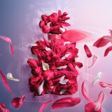 Lancôme La Vie Est Belle Intensément parfumska voda 50 ml za ženske | Shoptok.si