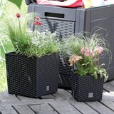 Prosperplast Rato Low DRTS225L-S433 tegla za cvijeće s umetkom 9,8 L, 22,3 &amp;times; 22,3 &amp;times; 22,8 cm &amp;ndash; antracit Slike