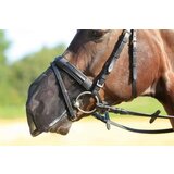Busse Ščitnik za nos FLY PROTECTOR - Velik poni / Cob Cene