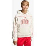 Adidas Dukserica Stadium Lettering Cene
