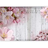  Foto tapeta - Apple Blossoms 200x140 | shoptok.hr