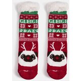 Gemre Red warm socks with Challi the Dog Cene