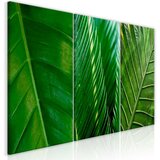  Slika - Leaves (Collection) 120x60 Cijene