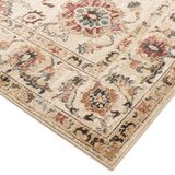 Asiatic Carpets Bež tepih 200x275 cm Raja – | shoptok.hr