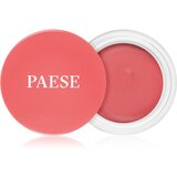 Paese Creamy Blush Kissed kremasto rdečilo 02 4 g | Shoptok.si