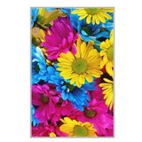 Conceptum Hypnose tepih (120x180) HMNT505 | ePonuda.com