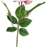 Ixia Umetna rastlina (višina 43 cm) Rose – | Shoptok.si