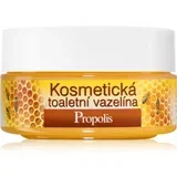 Honey + Q10 kozmetični vazelin 155 ml