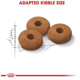 Royal Canin 400 g po super ceni! - Sterilised 37 | Shoptok.si