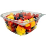  PET posuda sa ravnim poklopcem – 500ml Cijene