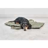 MiaCara zeleno potovalno ležišče za pse 53x80 cm strada grolive s | Shoptok.si