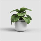 Artevasi Keramička ručno rađena tegla za cvijeće ø 26 cm Astrea – | shoptok.hr