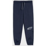 Sinsay Jogger hlače Active | shoptok.hr