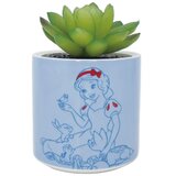  Saksija - Disney, Snow White, 6,5cm Cene