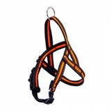 Gim Dog MESH am 1.5x40-45cm narandzasti Cene