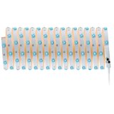 PAULMANN 3989 - LED RGBW/19W prigušiva traka TIP 10 m 230V + daljinski upravljač | Eponuda.com