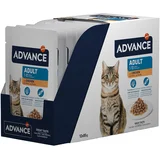 Feline Adult piščanec - 24 x 85 g