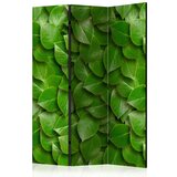  Paravan u 3 dijela - Secret Garden [Room Dividers] 135x172 Cijene