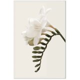 Slika - Spring Headdress (1 Part) Vertical 60x90 | shoptok.hr