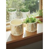 Sinsay Tegla za biljke 2 pack | shoptok.hr