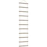vidaXL Zidni ukras u obliku ljestava 50x200 cm prirodna grana | shoptok.hr