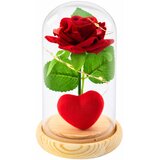 Eternal Rose in Dome with LED Lighting Red with Heart 14x8cm | Shoptok.si