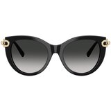 Tiffany Naočare za sunce TF 4232 80013C | ePonuda.com