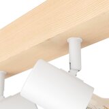Eglo zidna lampa spot Townshend-3 33172 | Eponuda.com