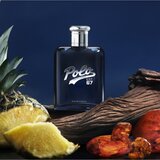 Polo Ralph Lauren Polo 67 parfemska voda za muškarce 125 ml | shoptok.hr