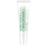 Mario Badescu Mint Lip Balm ultra hranilni balzam za ustnice 10 g Cene