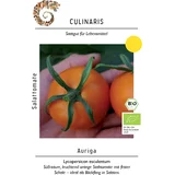 Bio solatni paradižnik "Auriga" - 15 zrn.