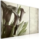  Slika - callas - vintage 60x40 Cijene