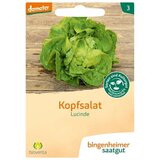 Bingenheimer Saatgut glavnata solata "Lucinde" cene