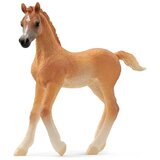  Horse Club 13984 Arabian Foal | shoptok.hr