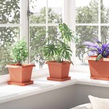  Kvadratna saksija za cvijeće 24 pcs Crvena cigla Plastika | shoptok.hr