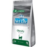 Vet Life Obesity Cene