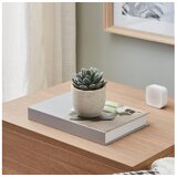 Eglo living veštačko cveće chitose 428011 | Eponuda.com