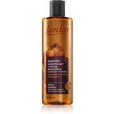 Jantar Amber Essence šampon za valovite in kodraste lase 300 ml
