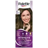 PALETTE ICC Palette Intensive Color Creme permanentna barva za lase odtenek 5-1 Cool Light Brown 1 kos