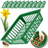 KADAX košara za sajenje čebulic tulipanov, 28 cm, 10 kosov, (5000362631) Cene