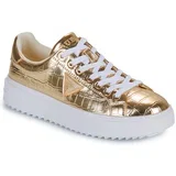 DENESA15 Gold