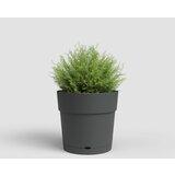 Artevasi Cvetlični lonec iz reciklirane plastike ø 20 cm Capri – | Shoptok.si