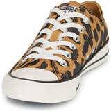 Converse Niske tenisice 'CTAS' boja pijeska / med / crna | shoptok.hr