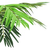  Umjetna datulja s posudom 190 cm zelena | Eponuda.com