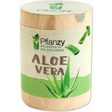 Feel Green Pflanzy "Aloe vera" | Shoptok.si