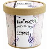 Feel Green ecopot "Sivka" Cene