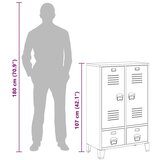 vidaXL industrijska garderobna omara antracitna 67x35x107 cm jeklo | Shoptok.si