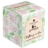 Goldbuch mirisna svijeća Turnowsky Nature&amp;#039;s Melody, aroma Mango Slike