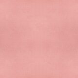 Novel OKRASNA BLAZINA CLARA 60/60 cm | Shoptok.si